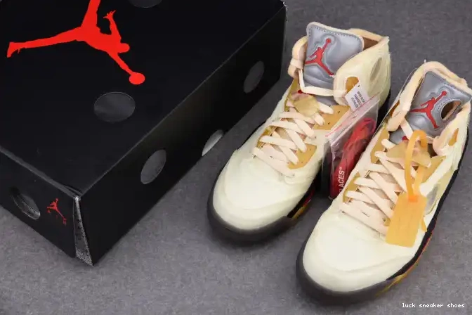 Reps LUCY 5 Jordan Retro DH8565-100 OFF-WHITE Sail 0624